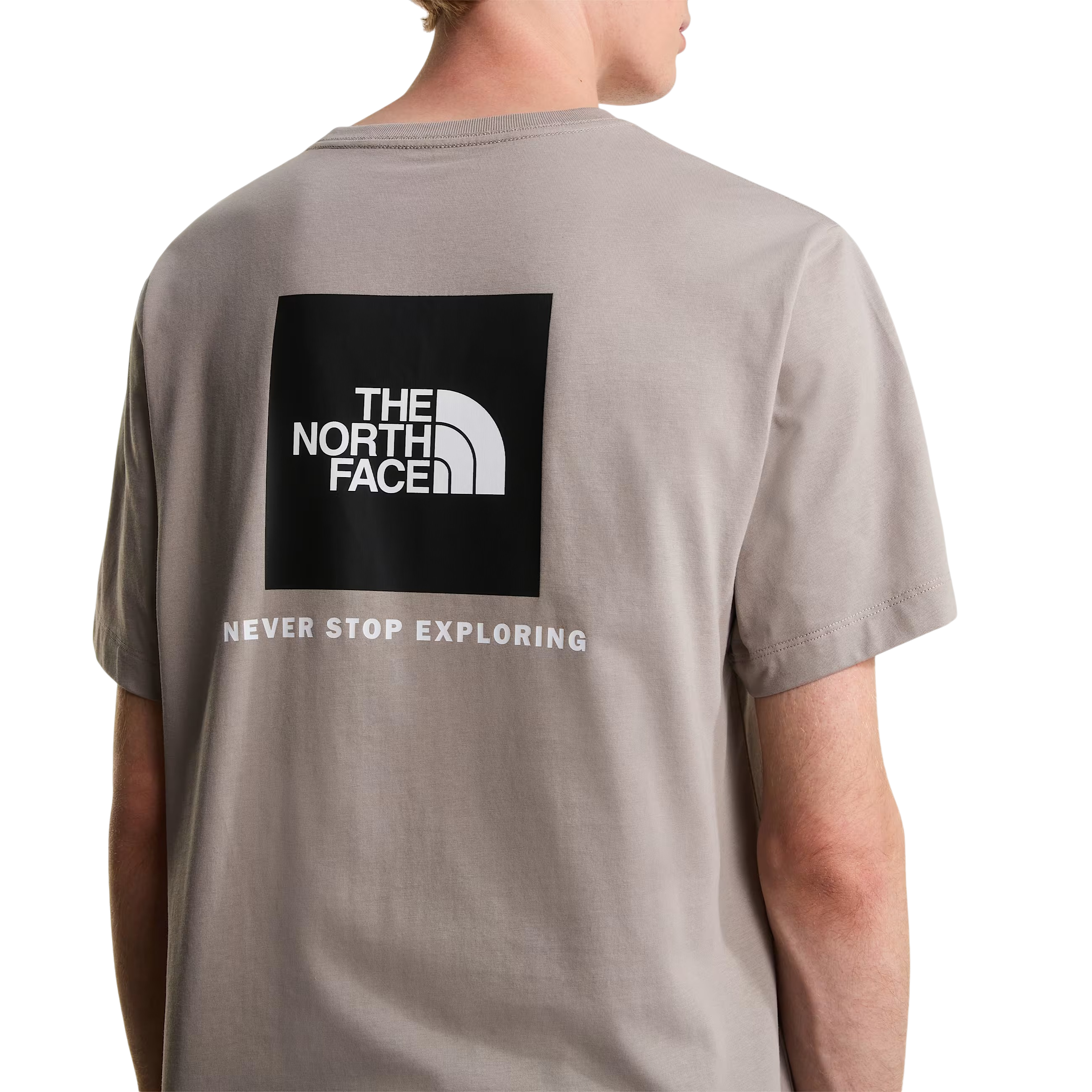 THE NORTH FACE T-shirt Evolution NSE Box Regular da uomo Stone Slab