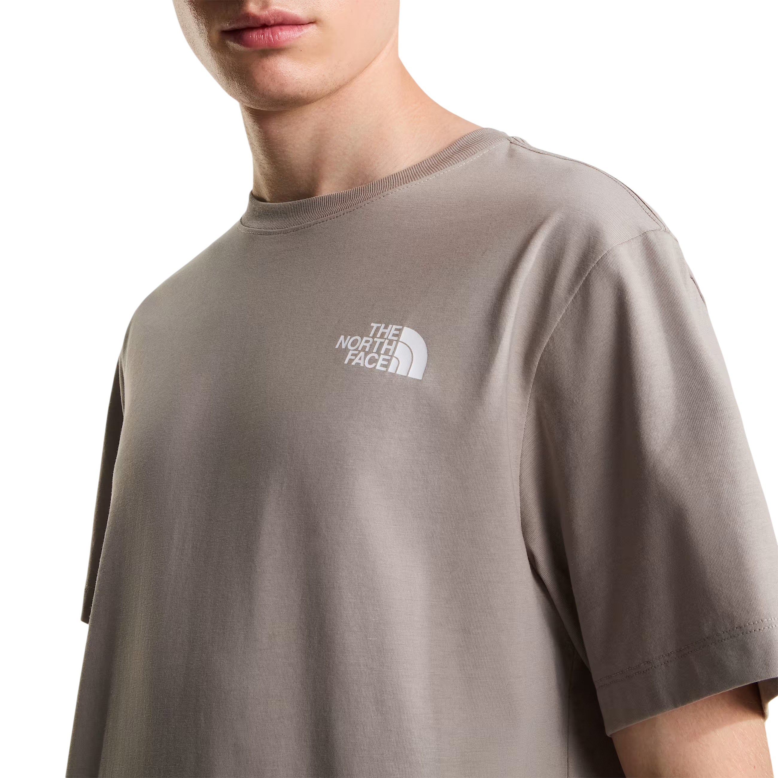 THE NORTH FACE T-shirt Evolution NSE Box Regular da uomo Stone Slab