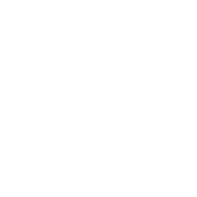 Il calendario dell’avvento di Blaze Shop
