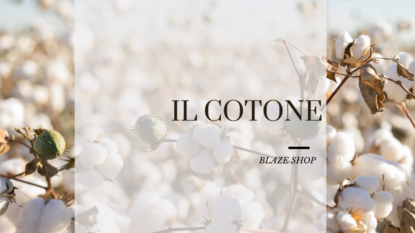 Il cotone, un materiale unico, pregiato, scopri la sua storia