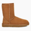 UGG classic Short (chestnut)