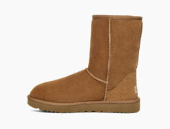 UGG classic Short (chestnut)