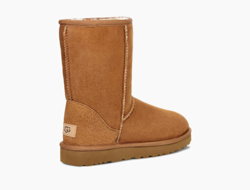 UGG classic Short (chestnut)