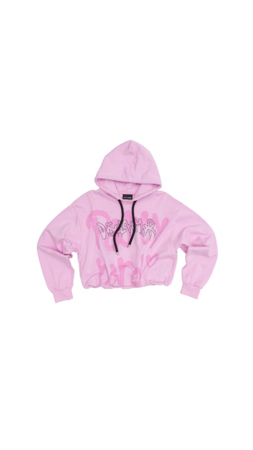 Disclaimer Pink HOODIE