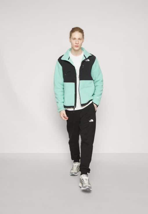THE NORTH FACE DENALI JACKET Giacca in pile Wasabi