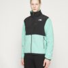 THE NORTH FACE M COORDINATES HOODIE gravel