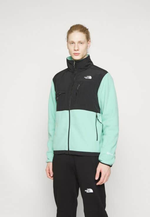 THE NORTH FACE DENALI JACKET Giacca in pile Wasabi