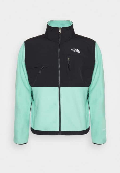 THE NORTH FACE DENALI JACKET Giacca in pile Wasabi