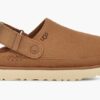 UGG Clog Goldenstar DRIFTWOOD