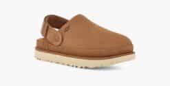 UGG Clog Goldenstar CHESTNUT