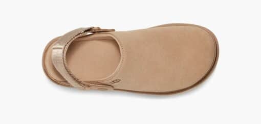 UGG Clog Goldenstar DRIFTWOOD