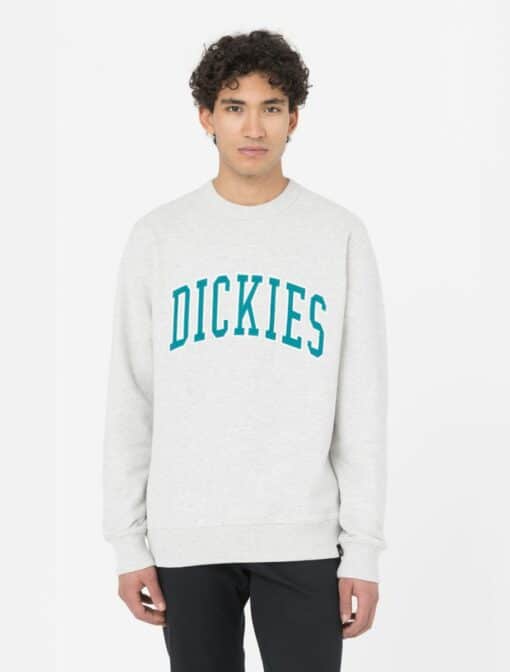 DICKIES Felpa Aitkin Grey Deep Lake