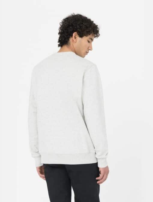 DICKIES Felpa Aitkin Grey Deep Lake