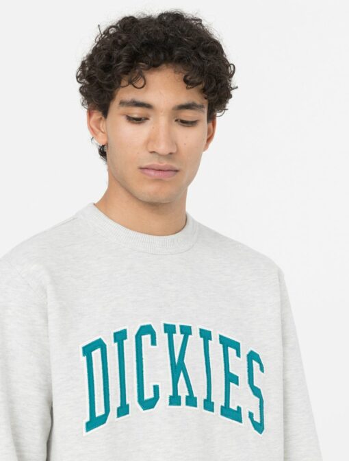 DICKIES Felpa Aitkin Grey Deep Lake