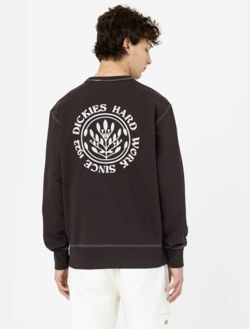 DICKIES Felpa Beavertown dark brown