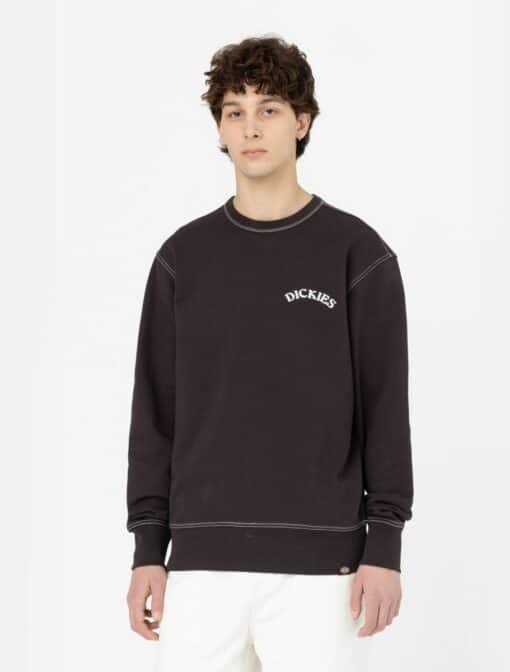 DICKIES Felpa Beavertown dark brown