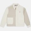 DICKIES T-Shirt T-Shirt Kerby sand