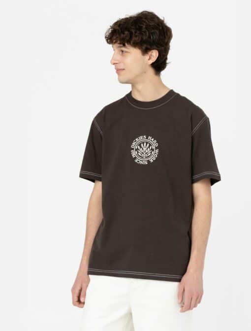 DICKIES T-Shirt Beavertown dark brown