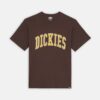 DICKIES Pantaloni Cargo Johnson Moka