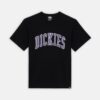 DICKIES T-Shirt Moka