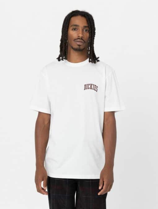 DICKIES T-Shirt Aitkin Bianco / Cotto