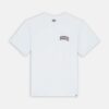 DICKIES T-Shirt Aitkin Bianco / Cotto