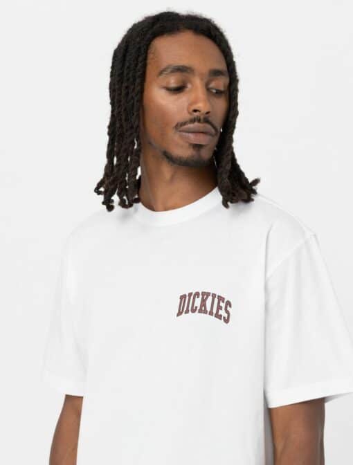 DICKIES T-Shirt Aitkin Bianco / Cotto