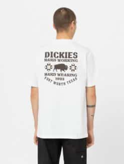 DICKIES