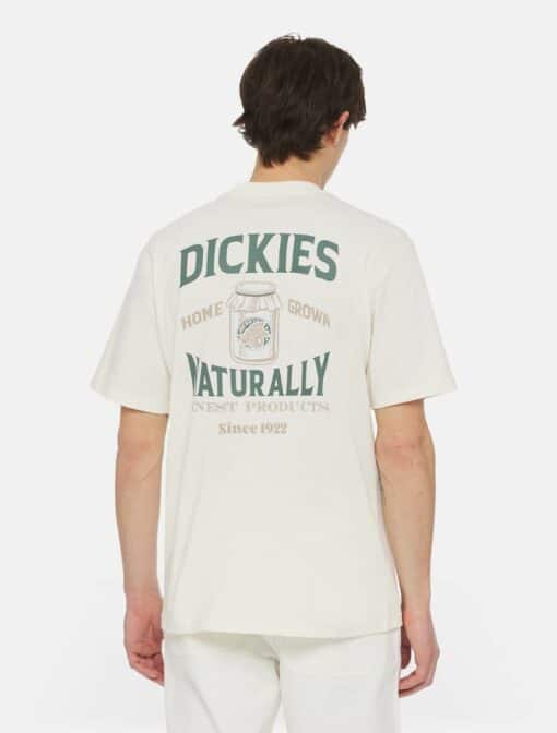 DICKIES T-Shirt Elliston Cloud