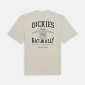 DICKIES T-Shirt Elliston Cloud