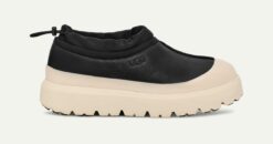 Scarpe Uomo