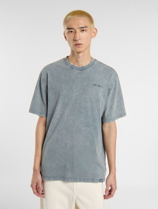 DICKIES T-Shirt Plentywood Stormy Weather