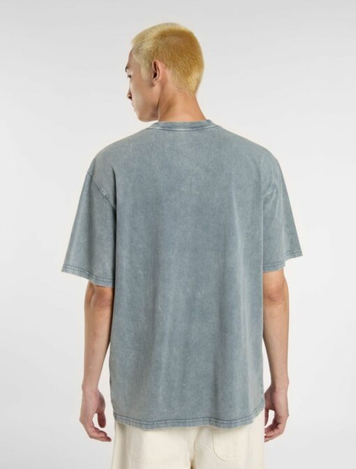 DICKIES T-Shirt Plentywood Stormy Weather