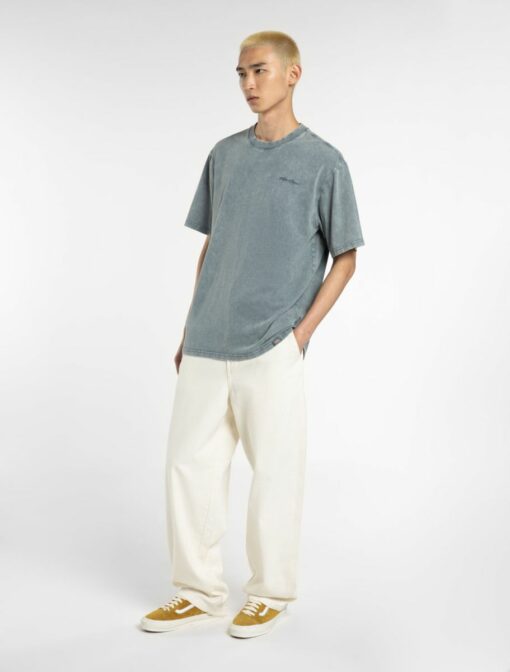 DICKIES T-Shirt Plentywood Stormy Weather