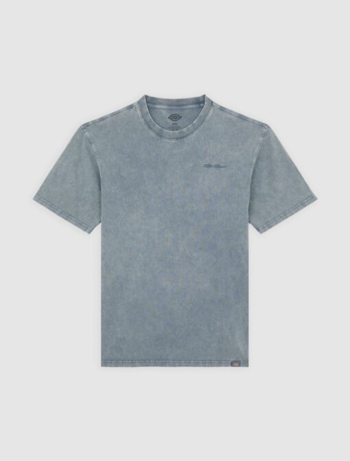 DICKIES T-Shirt Plentywood Stormy Weather