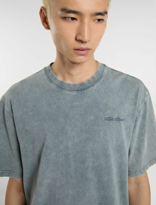 DICKIES T-Shirt Plentywood Stormy Weather