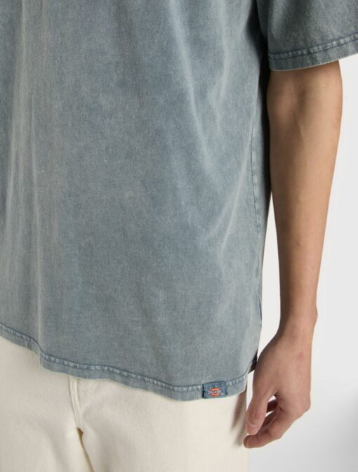 DICKIES T-Shirt Plentywood Stormy Weather