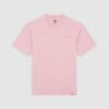 DICKIES T-Shirt Plentywood Pink