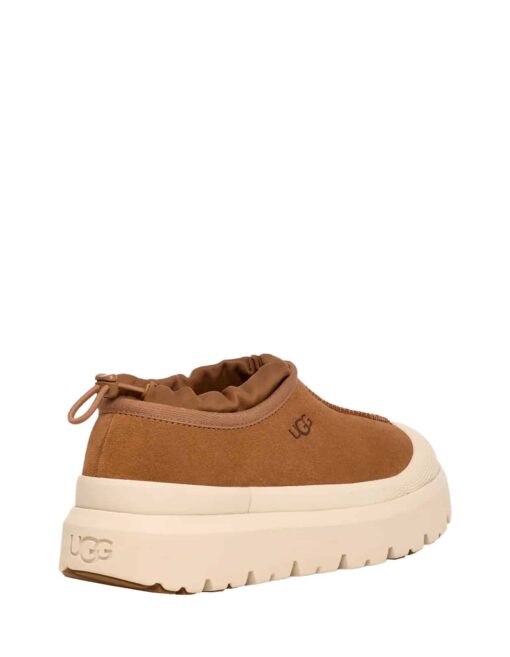 UGG TASMAN WEATHER HYBRID Chestnut Whitecap