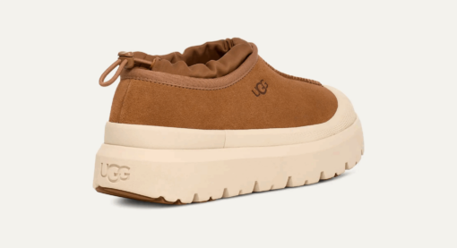 UGG TASMAN WEATHER HYBRID Chestnut Whitecap