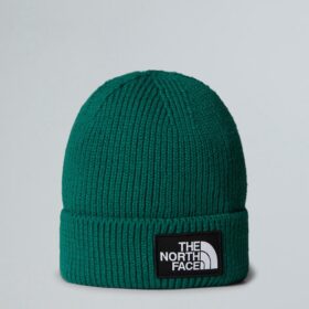 THE NORTH FACE Berretto con risvolto e logo box Evergreen